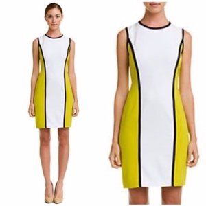 Calvin Klein Sleeveless Color Block Dress